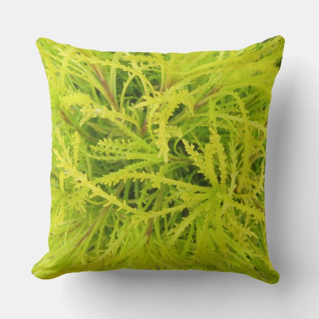 Chartreuse Pillow (Front)