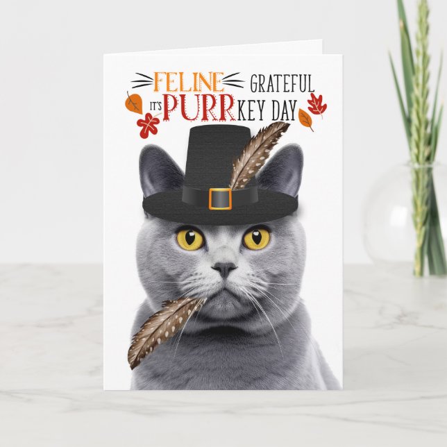Chartreux Grey Cat Feline Grateful for PURRkey Day Holiday Card (Front)