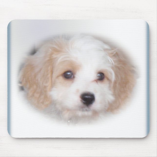 Chase Cavachon Mousepad (Front)