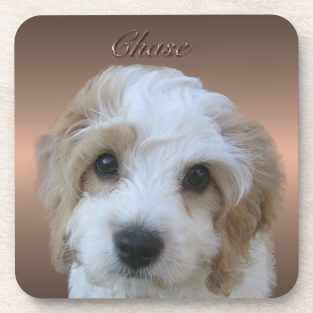 Chase Cork Coaster (Front)