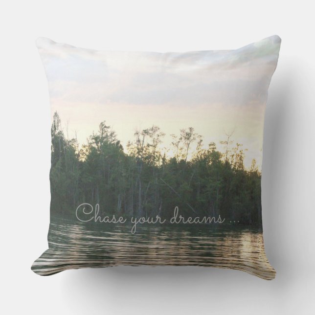 Chase Your Dreams Cushion (Front)