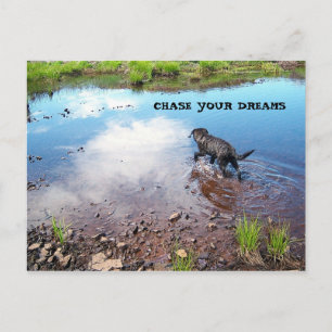 Chase Your Dreams Postcard
