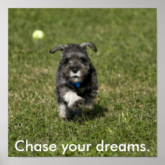 Chase your dreams. poster