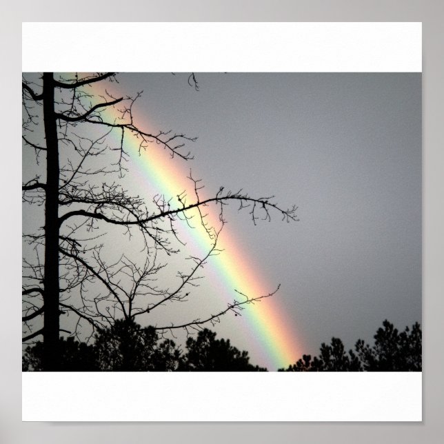 Chasing After Rainbows Poster (Front)