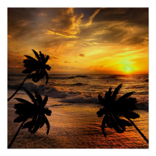 CHASING SUNSETS OCEAN SCENERY NATURE POSTER