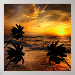 CHASING SUNSETS OCEAN SCENERY NATURE   POSTER