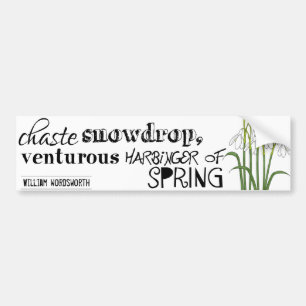 Chaste Snowdrop Bumper Sticker