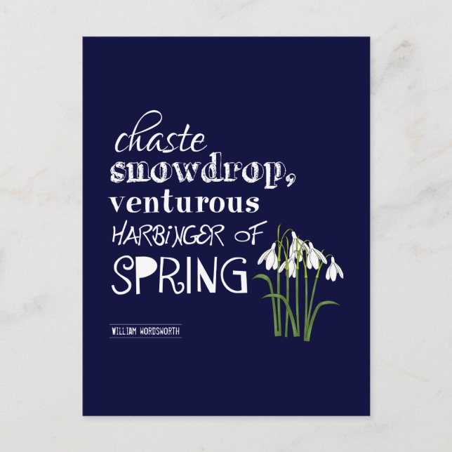 Chaste Snowdrop, Venturous Harbinger of Spring Postcard (Front)
