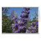 Chaste Tree Purple Flowers