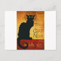 Chat Noir - Black Cat