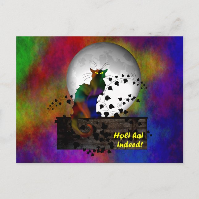 Chat Noir Holi Hai Postcard (Front)