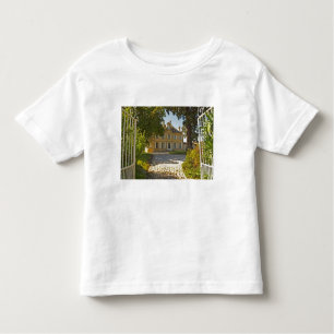 Chateau Cos Labory in Saint St Estephe, wrought Toddler T-Shirt