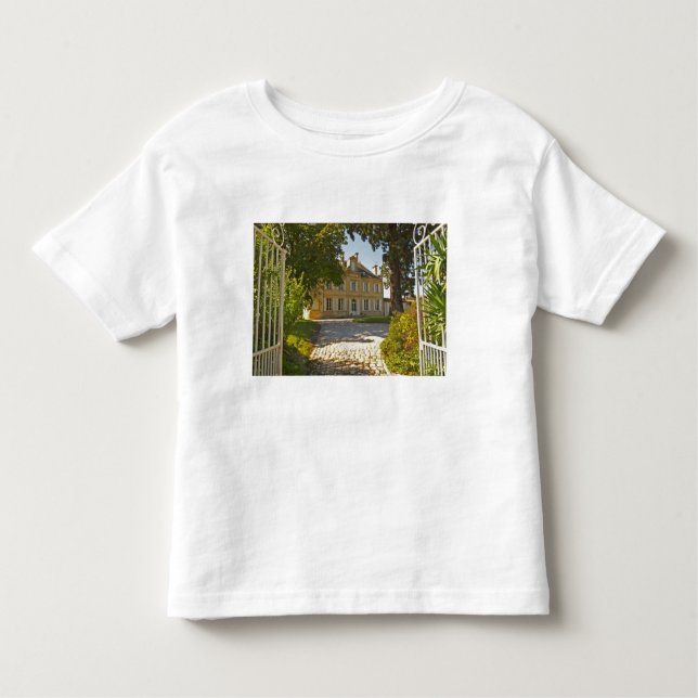 Chateau Cos Labory in Saint St Estephe, wrought Toddler T-Shirt (Front)