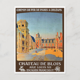 Chateau de Blois, France, vintage French travel Postcard