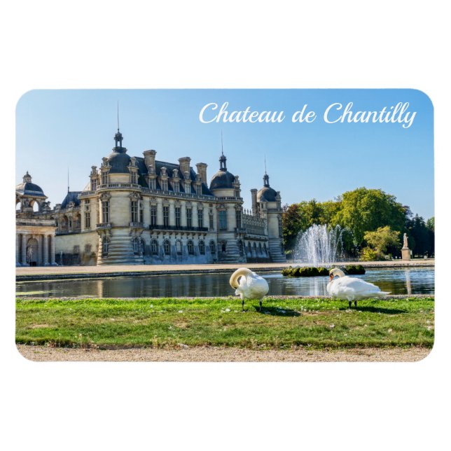 Chateau de Chantilly, fountain and two swans Magnet (Horizontal)