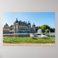 Chateau de Chantilly, fountain and two swans