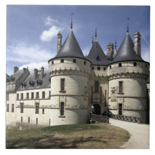 Chateau de Chaumont-Sur-Loire. Tile