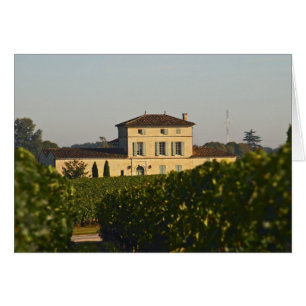 Chateau Lafleur Petrus and vineyard, in Pomerol,