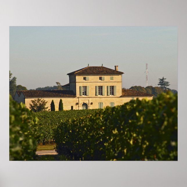 Chateau Lafleur Petrus and vineyard, in Pomerol, Poster (Front)
