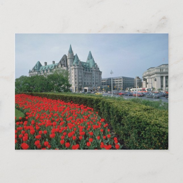 Chateau Laurier Hotel, Ottawa flowers Postcard (Front)