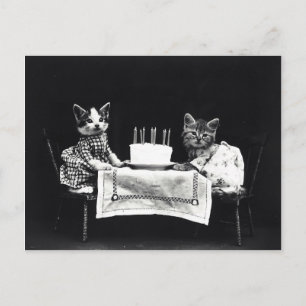 Chatons anniversaire vintage postcard