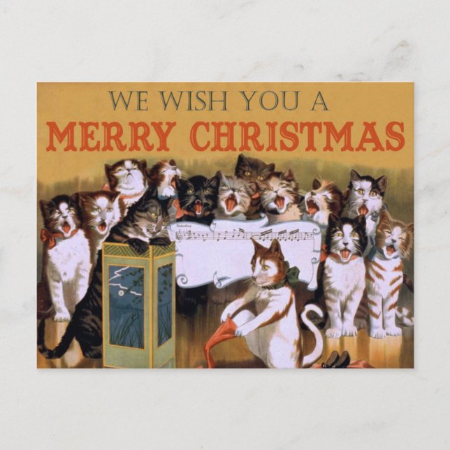 Chats chorale de Noël Postcard (Front)