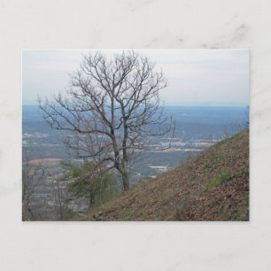 Chattanooga, Tennessee 001 Postcard