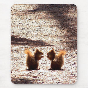 Chatting in the Park Mouse Pad