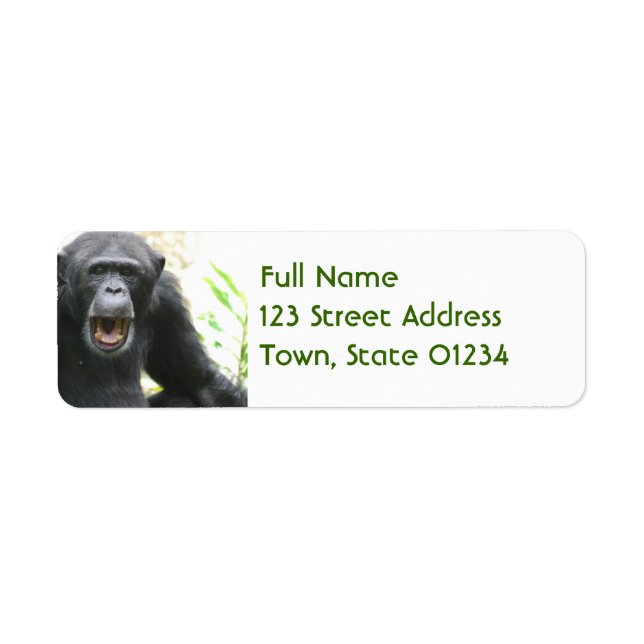 Chatty Chimpanzee Mailing Labels (Front)