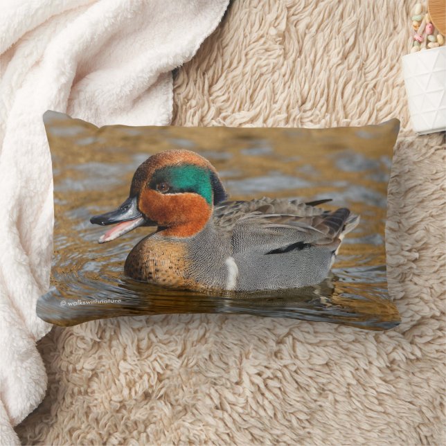Chatty Green-Winged Teal Duck at Pond Lumbar Cushion (Blanket)