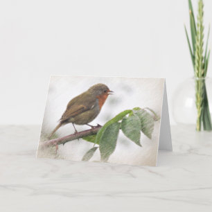 Chatty Robin, Greeting Card, envelopes included Holiday Card