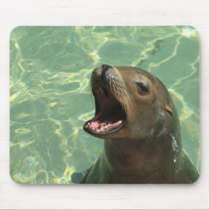 Chatty Sea Lion Mouse Pad