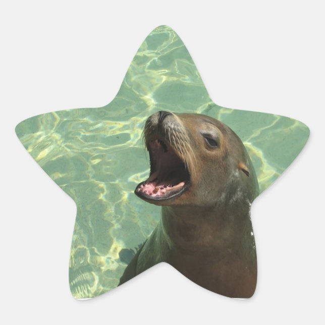 Chatty Sea Lion Sticker (Front)
