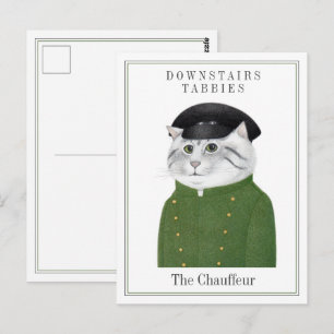CHAUFFEUR CAT Postcard
