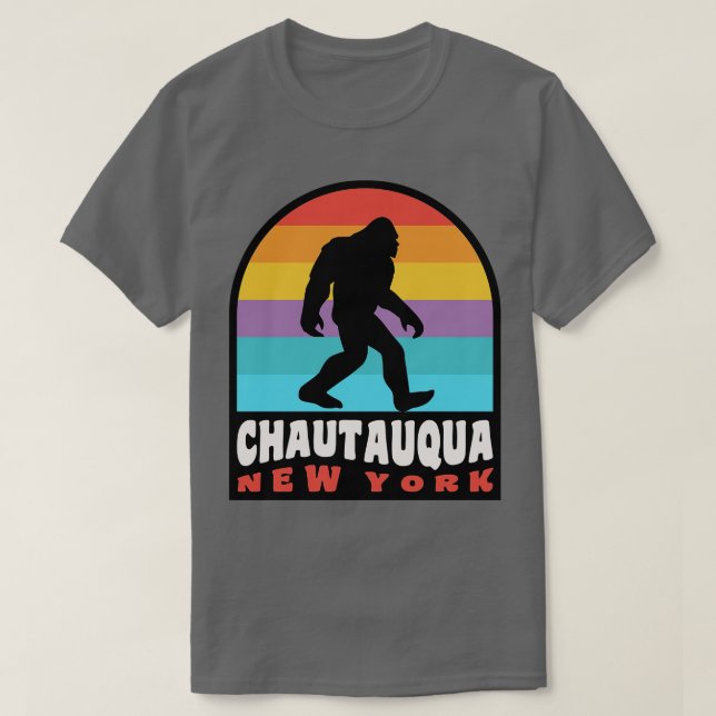 Chautauqua Lake New York NY Retro T-Shirt (Design Front)
