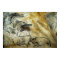 Chauvet Cave Horses and other Wildlife Painting