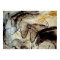 Chauvet Cave Horses