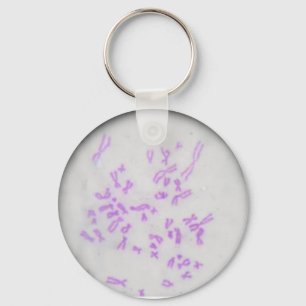 Chaveiro Chromosomes Key Ring