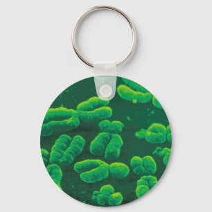 Chaveiro chromosomes key ring