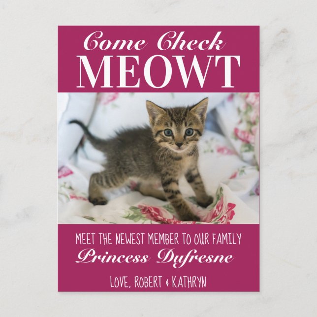 "Check Meowt" New Cat Announcement Purple Postcard (Front)