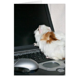 Checking email