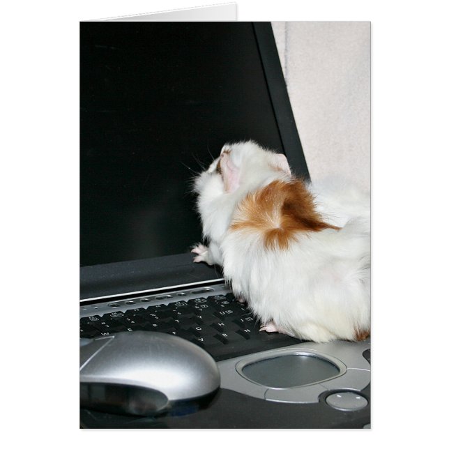 Checking email (Front)