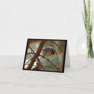 Checking In - Bird Note Card (blank)