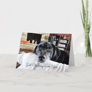 Checking in on You | Cute Dog Personalised Card