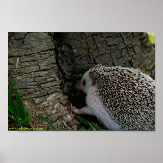 Checking it out poster (Front)