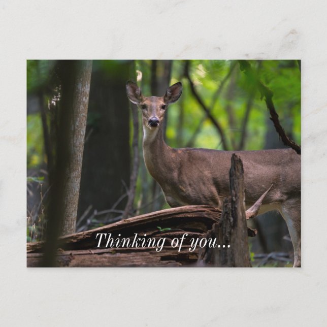 Checking You Out Postcard (Front)