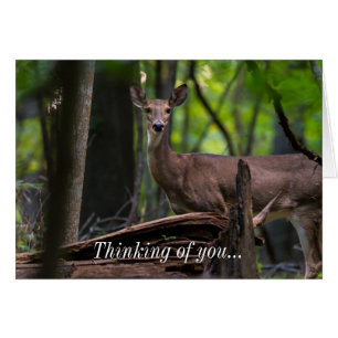 Checking You Out Thinking Of You Card