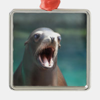 Checkout My Tonsils!