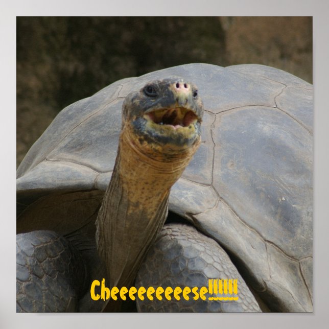 Cheeeeeeeeese!!!!!! Poster (Front)