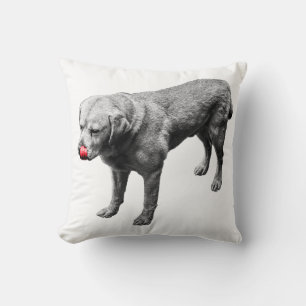 Cheeky Accent Cushion